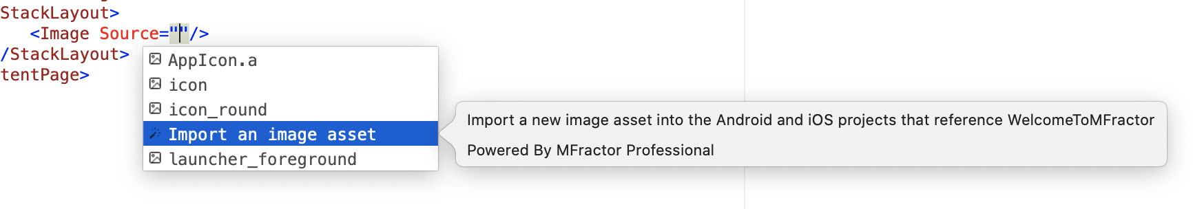 Using the image importer IntelliSense action